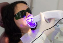 nerovet ai dentistry